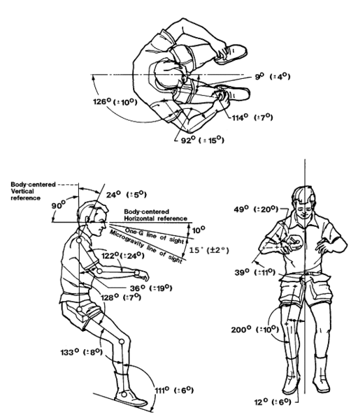 Neutral_body_posture_diagram.gif
